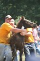 ponypenning_072810_583