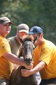 ponypenning_072810_585