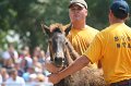 ponypenning_072810_586