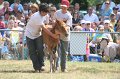 ponypenning_072810_592