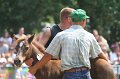 ponypenning_072810_605
