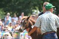 ponypenning_072810_606