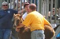 ponypenning_072810_610