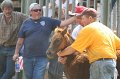 ponypenning_072810_611