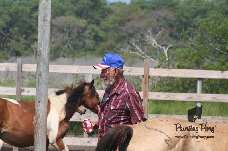 ponypenning_072611_026.JPG
