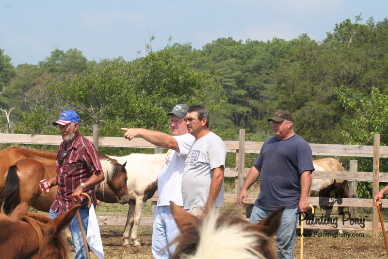 ponypenning_072611_040.JPG
