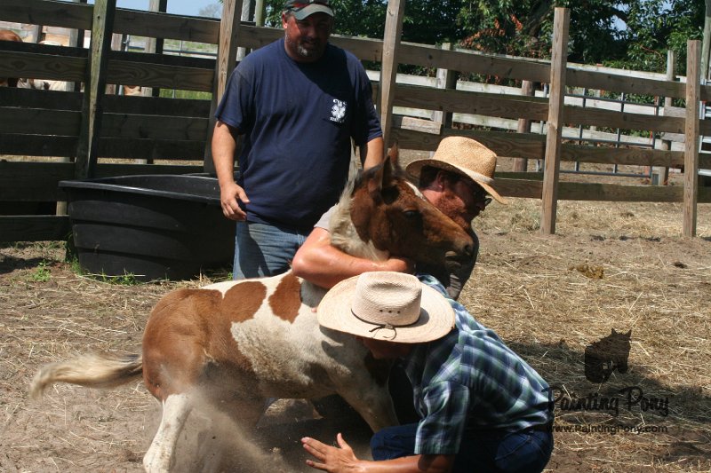 ponypenning_072611_063.JPG