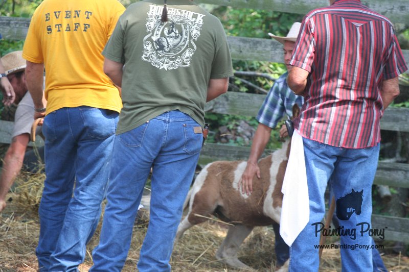 ponypenning_072611_075.JPG