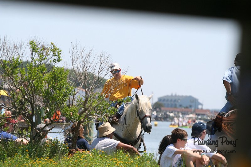 ponypenning_072711_0086.JPG