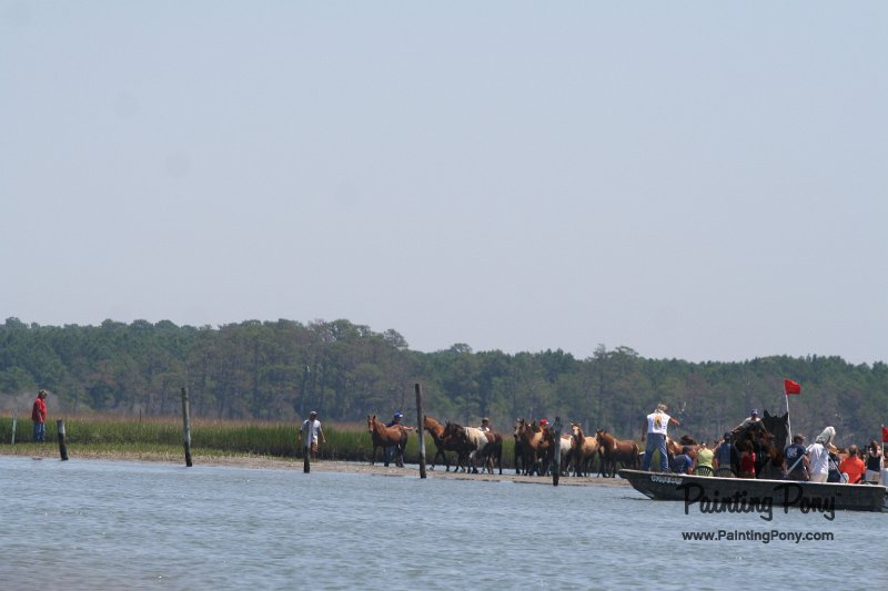 ponypenning_072711_0109.JPG