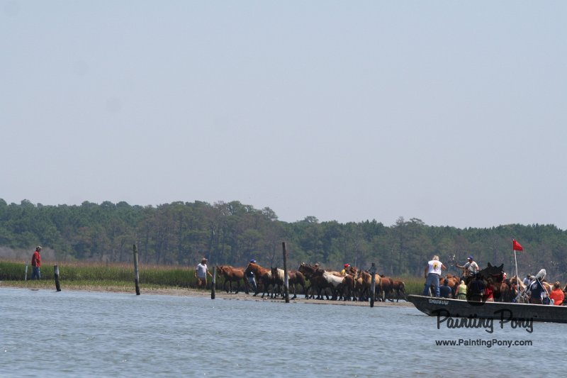 ponypenning_072711_0110.JPG