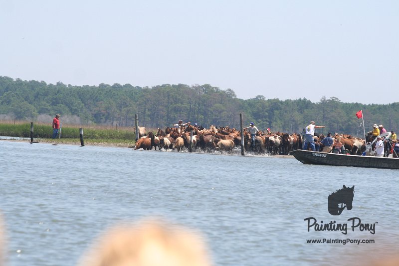 ponypenning_072711_0113.JPG