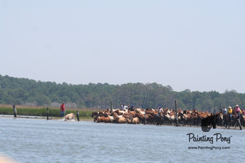 ponypenning_072711_0115.JPG