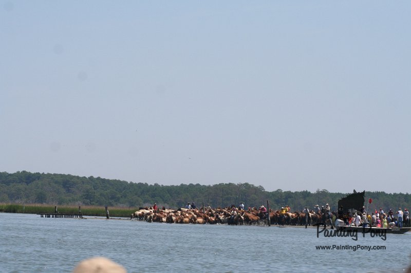 ponypenning_072711_0117.JPG