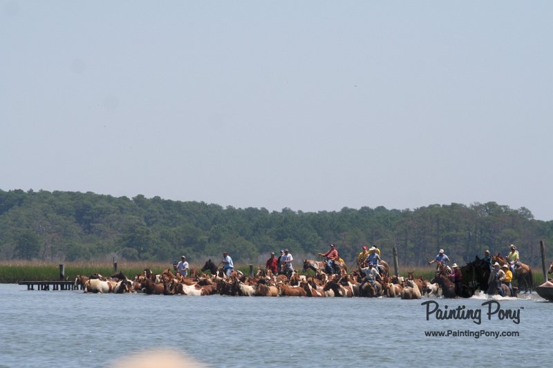 ponypenning_072711_0121.JPG
