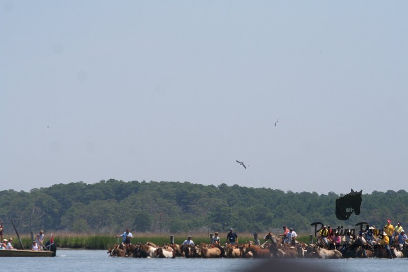 ponypenning_072711_0123.JPG