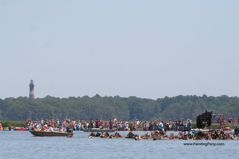 ponypenning_072711_0130.JPG