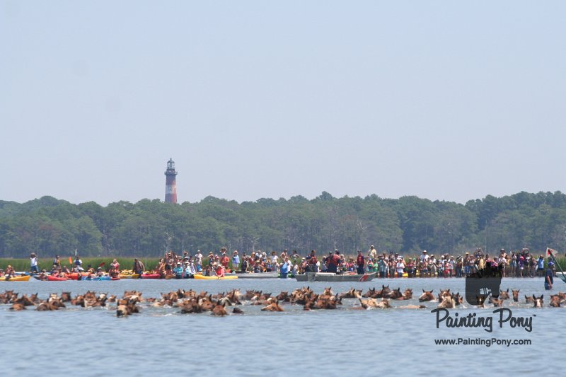 ponypenning_072711_0136.JPG