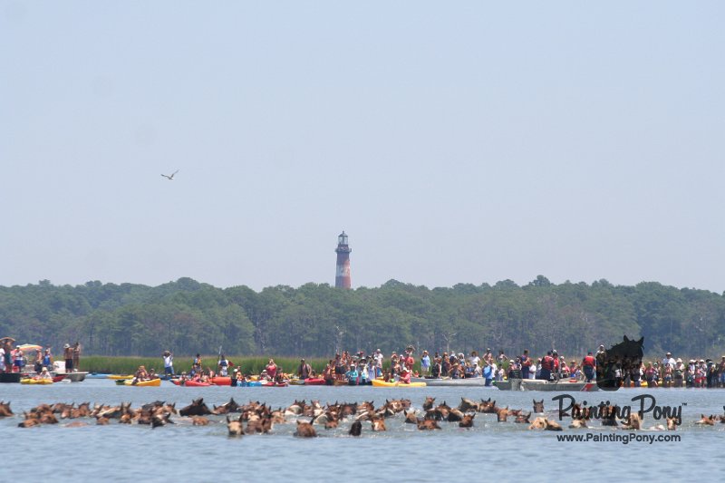 ponypenning_072711_0137.JPG
