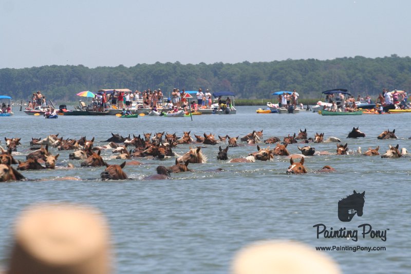 ponypenning_072711_0147.JPG