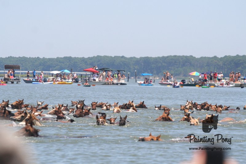 ponypenning_072711_0151.JPG