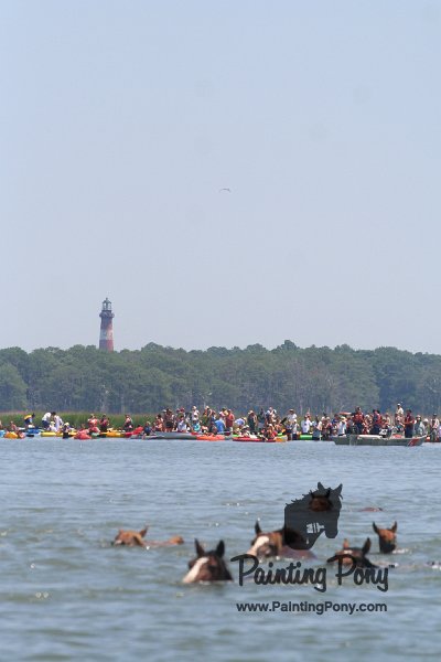 ponypenning_072711_0154.JPG