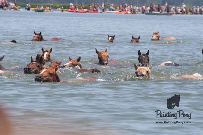 ponypenning_072711_0159.JPG