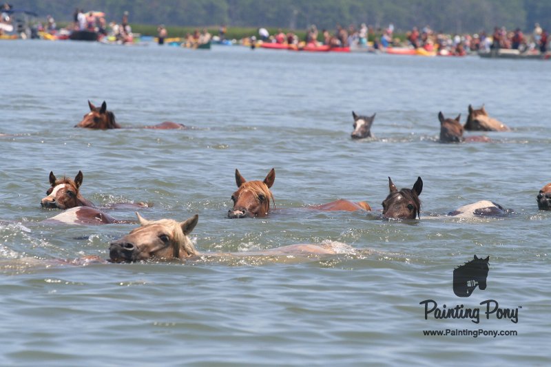 ponypenning_072711_0160.JPG