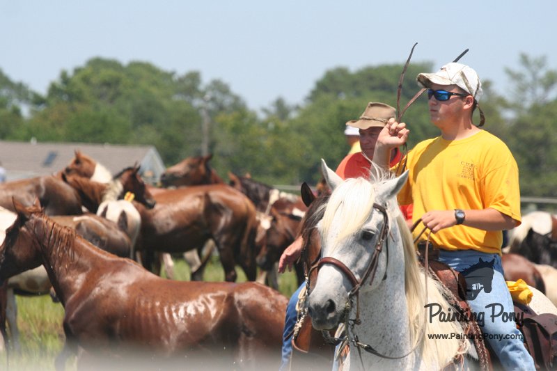 ponypenning_072711_0174.JPG