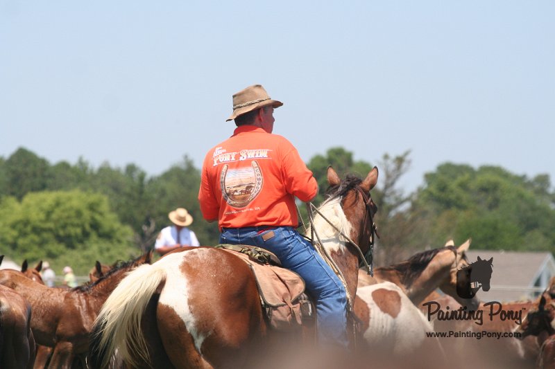ponypenning_072711_0175.JPG