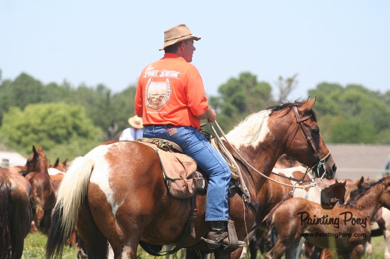 ponypenning_072711_0176.JPG