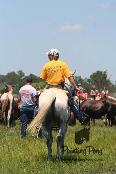 ponypenning_072711_0183.JPG