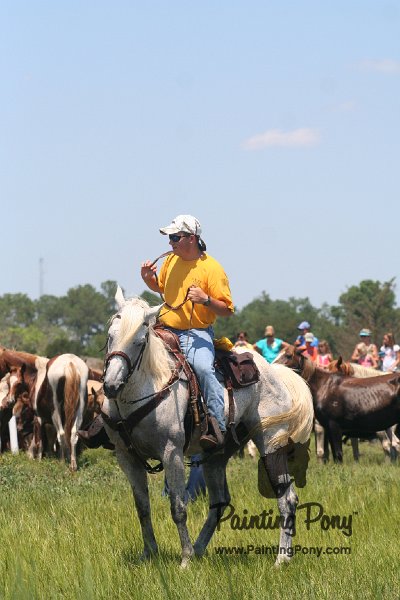 ponypenning_072711_0184.JPG