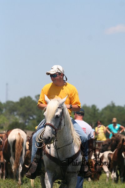 ponypenning_072711_0185.JPG