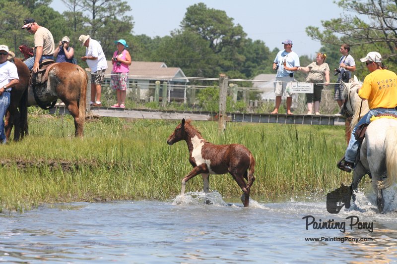 ponypenning_072711_0190.JPG