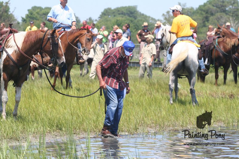 ponypenning_072711_0194.JPG