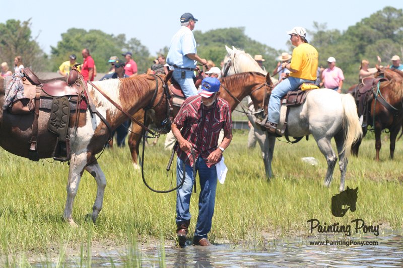 ponypenning_072711_0195.JPG