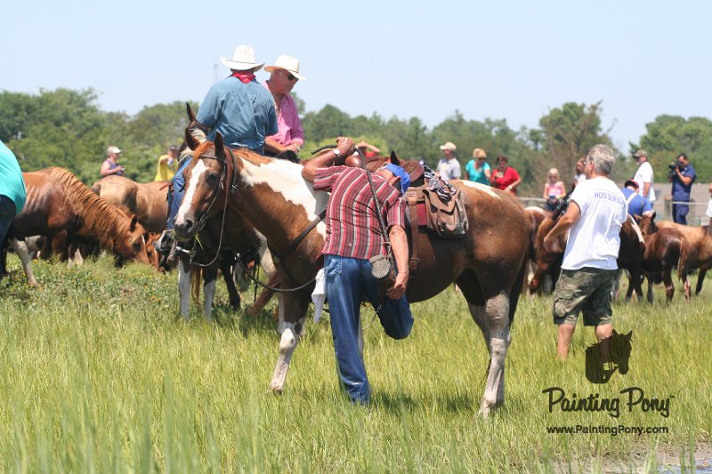 ponypenning_072711_0197.JPG