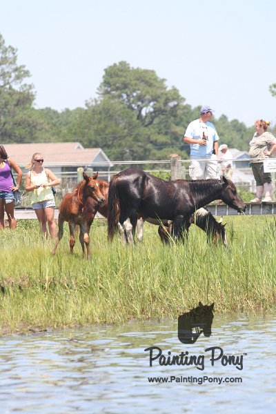 ponypenning_072711_0203.JPG