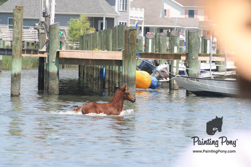 ponypenning_072711_0210.JPG
