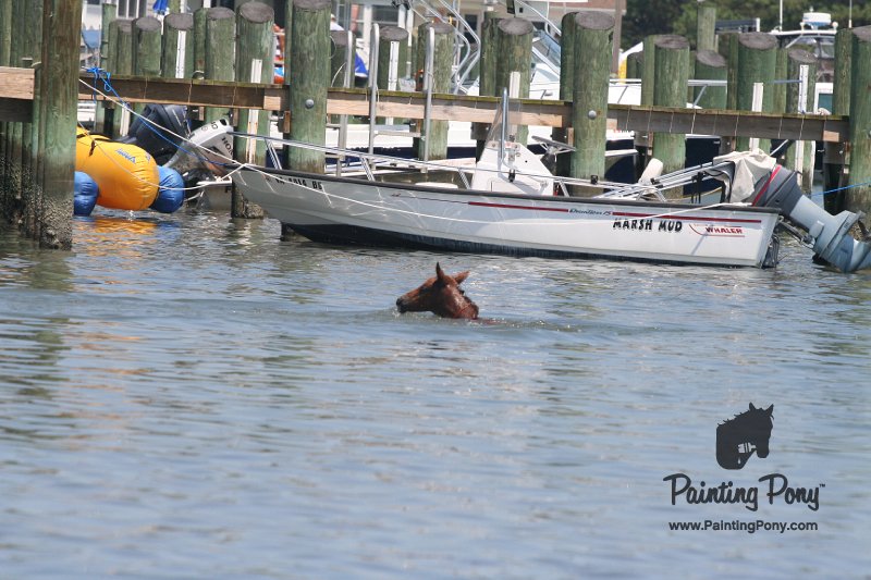 ponypenning_072711_0211.JPG