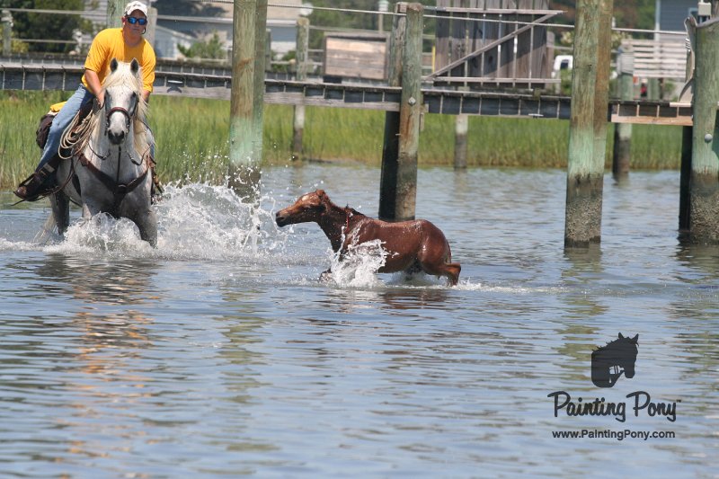 ponypenning_072711_0213.JPG