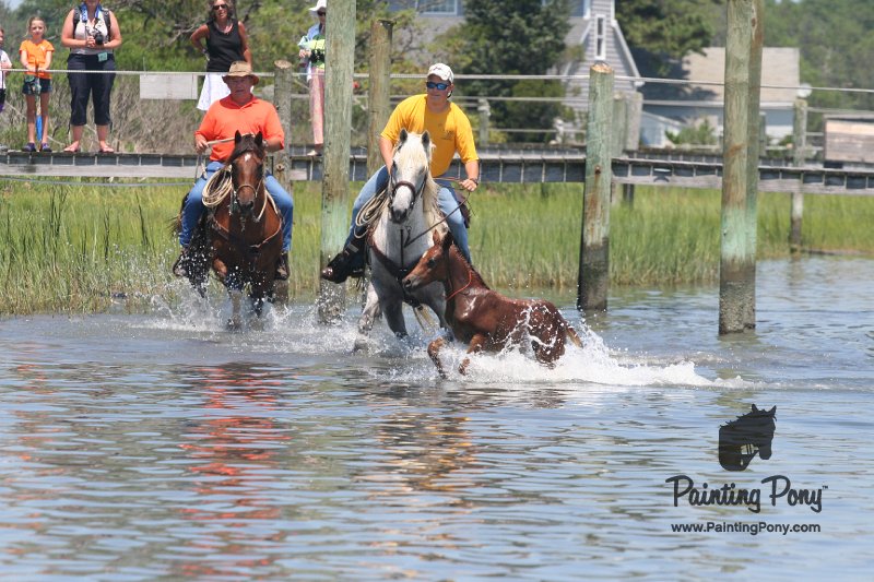 ponypenning_072711_0214.JPG