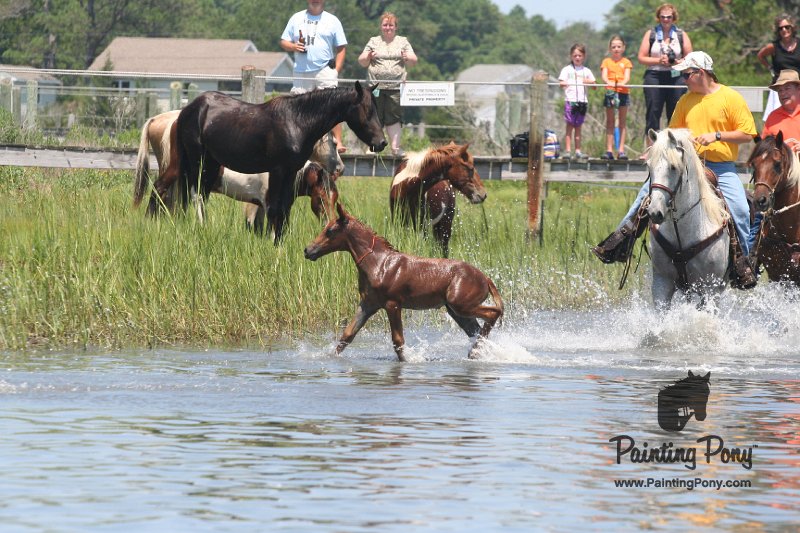 ponypenning_072711_0216.JPG