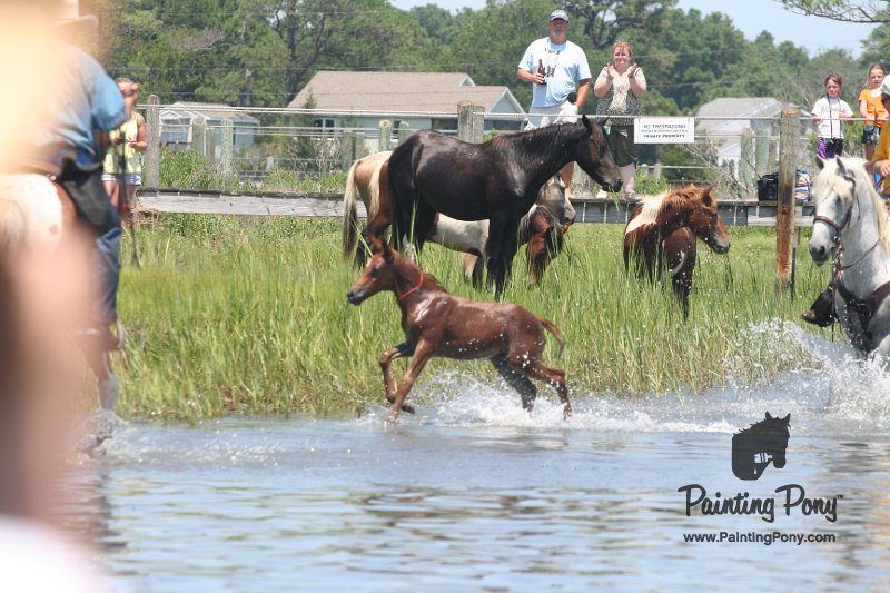 ponypenning_072711_0217.JPG