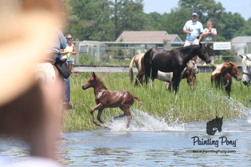 ponypenning_072711_0218.JPG
