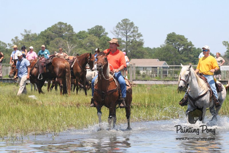 ponypenning_072711_0219.JPG