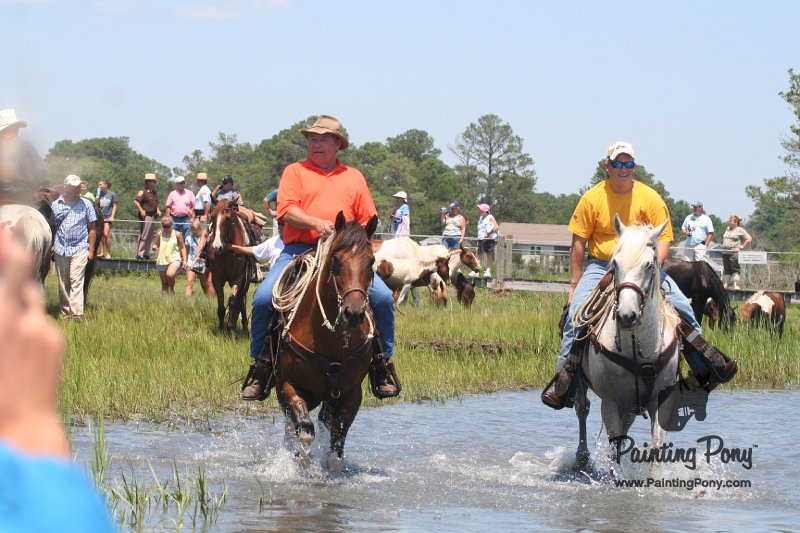 ponypenning_072711_0221.JPG