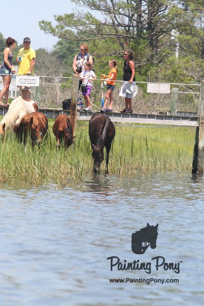 ponypenning_072711_0235.JPG