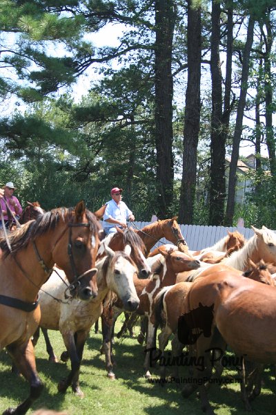 ponypenning_072711_0246.JPG